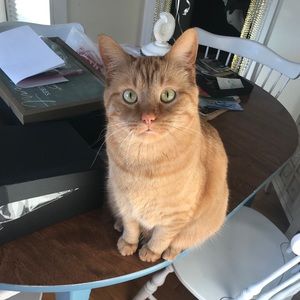 Meet your Posher, Joanne